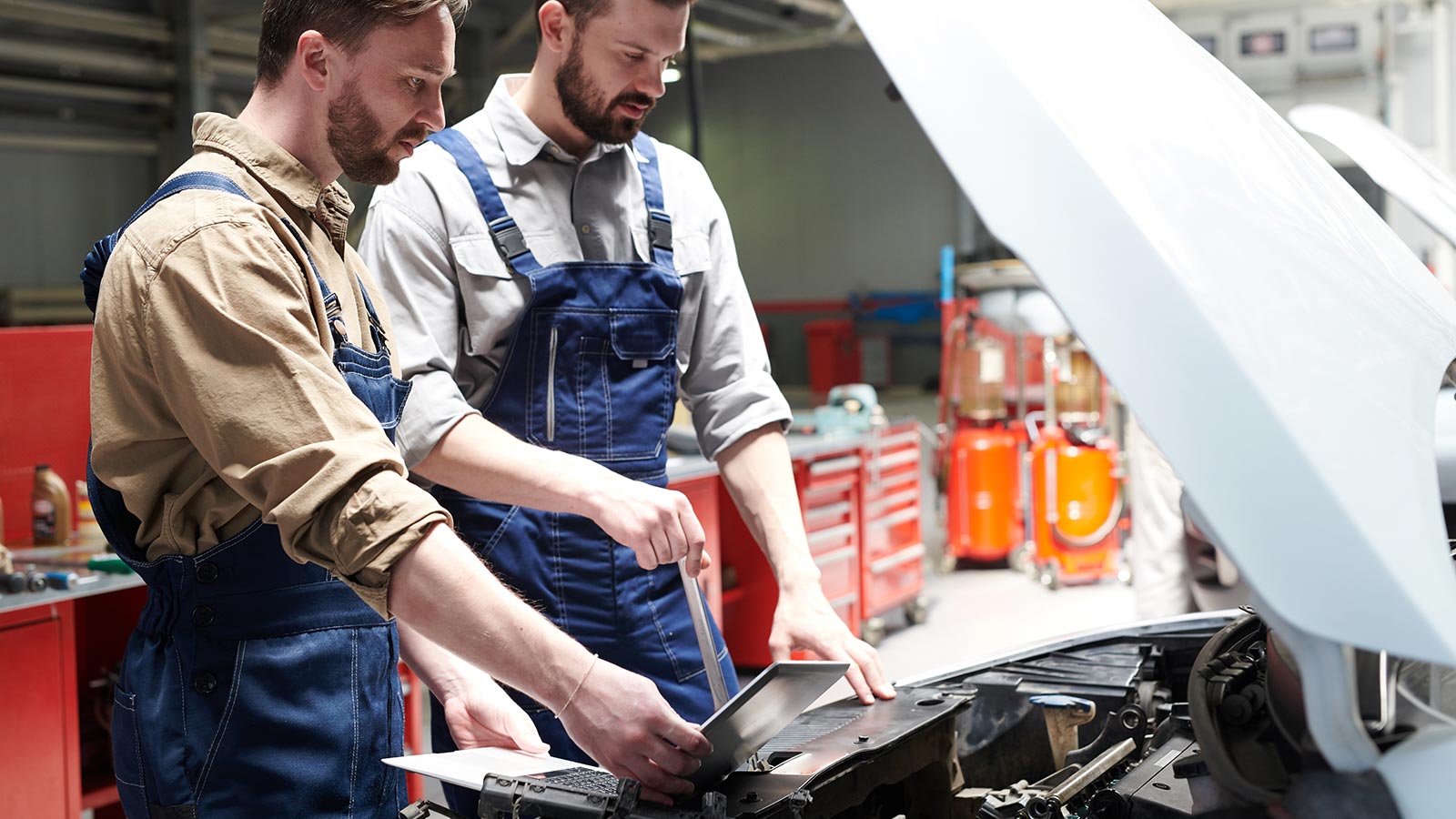 Un problema en el 'canister'